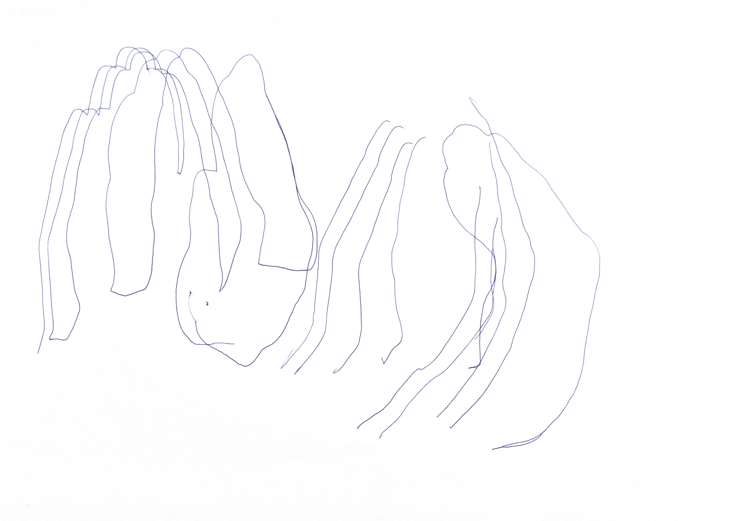 outlined drawing of a hand